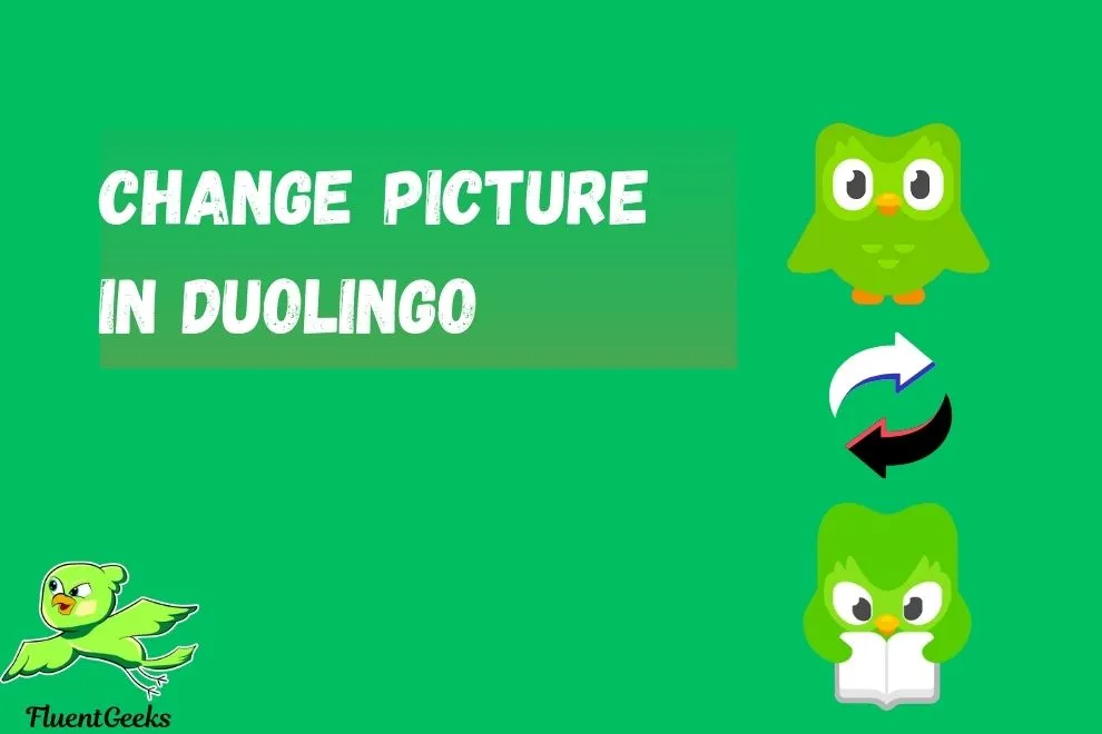 change picture in duolingo